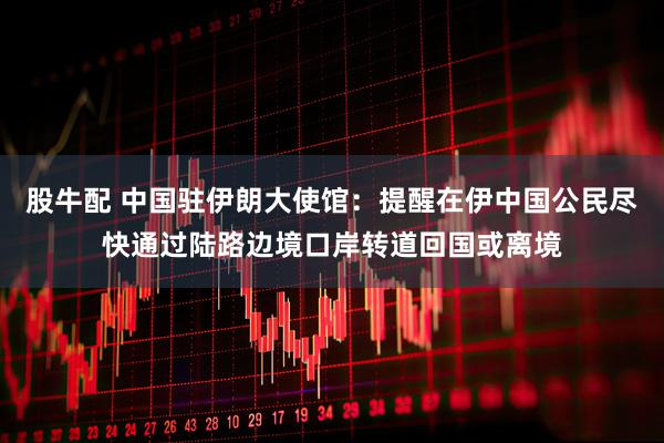 股牛配 中国驻伊朗大使馆：提醒在伊中国公民尽快通过陆路边境口岸转道回国或离境