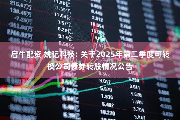 启牛配资 姚记科技: 关于2025年第二季度可转换公司债券转股情况公告