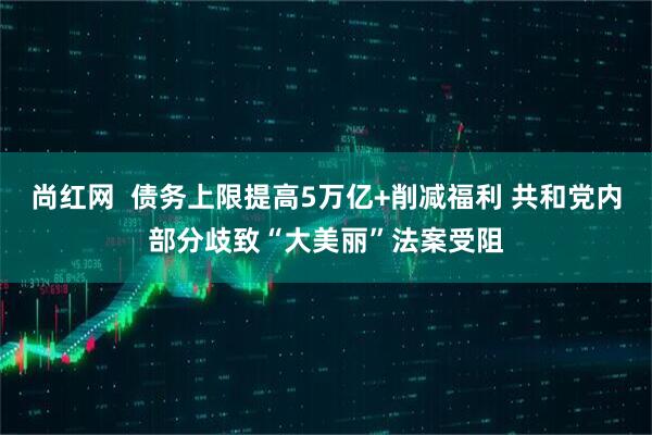 尚红网  债务上限提高5万亿+削减福利 共和党内部分歧致“大美丽”法案受阻