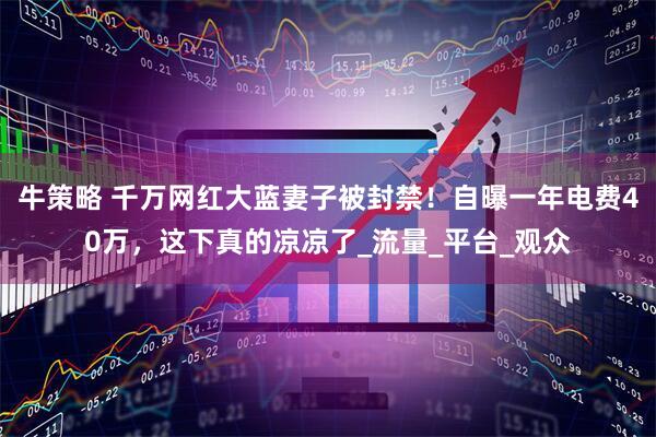 牛策略 千万网红大蓝妻子被封禁！自曝一年电费40万，这下真的凉凉了_流量_平台_观众