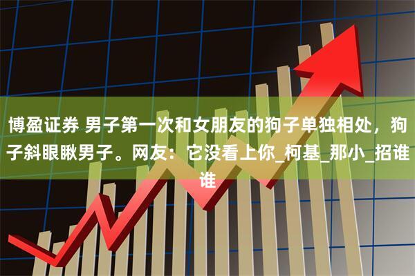 博盈证券 男子第一次和女朋友的狗子单独相处，狗子斜眼瞅男子。网友：它没看上你_柯基_那小_招谁
