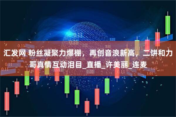 汇发网 粉丝凝聚力爆棚，再创音浪新高，二饼和力哥真情互动泪目_直播_许美丽_连麦
