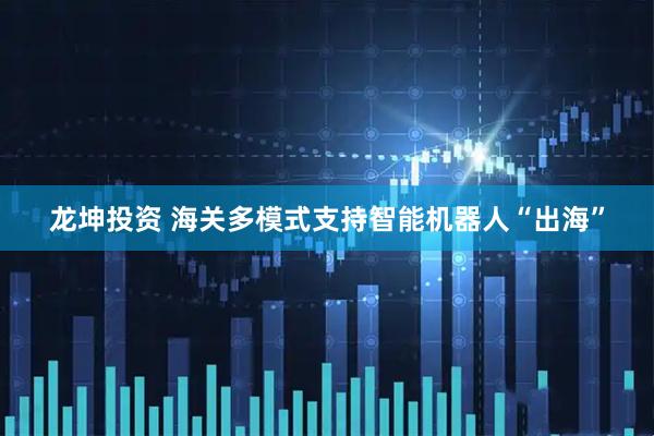 龙坤投资 海关多模式支持智能机器人“出海”